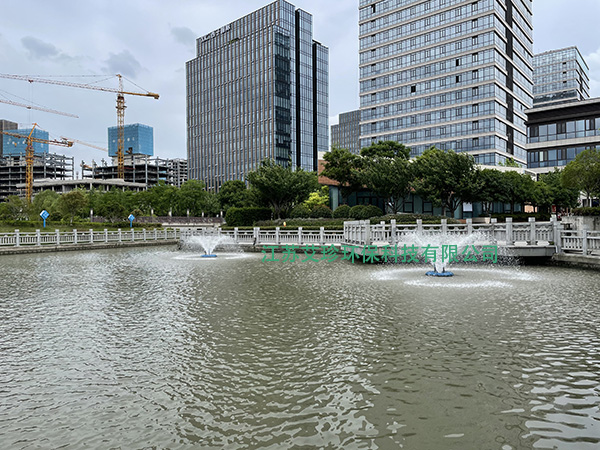 市政黑臭河道高效治理方案沉水风机喷泉曝气机.jpg
