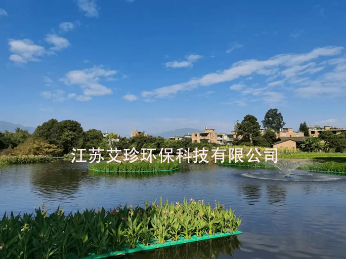 河道治理新招：多样增氧，让水体重焕生机.jpg
